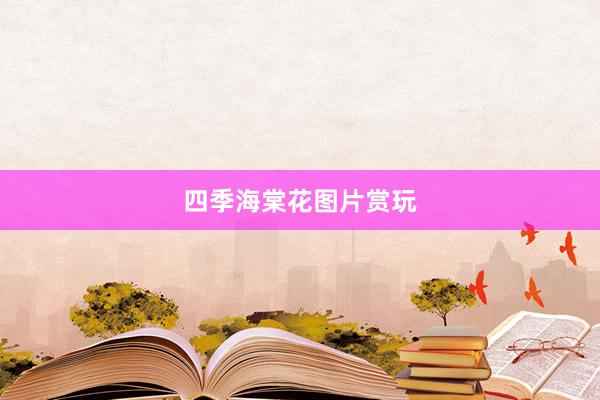四季海棠花图片赏玩