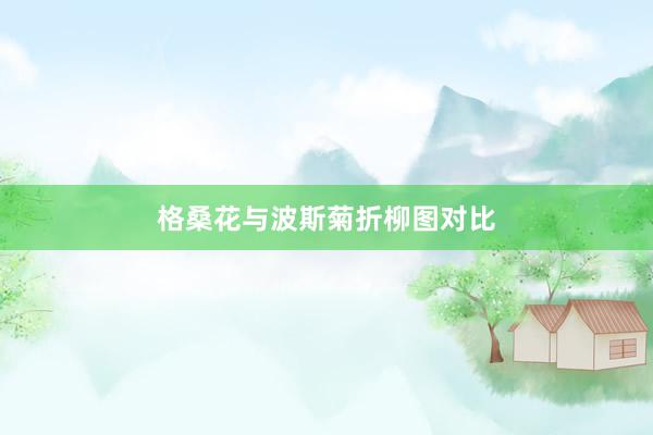 格桑花与波斯菊折柳图对比