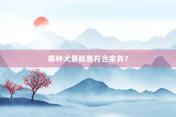 哪种犬最聪惠符合家养？