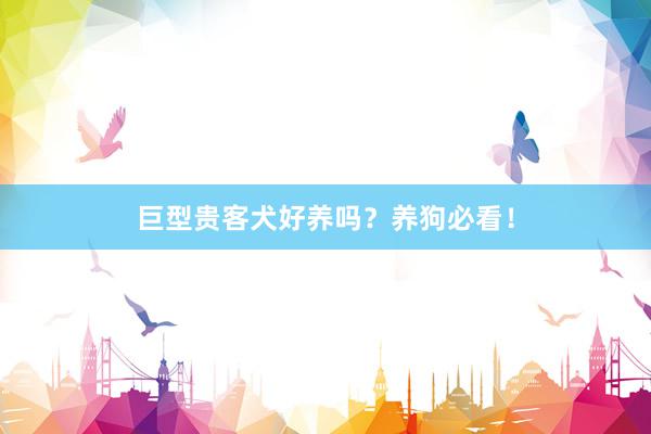 巨型贵客犬好养吗？养狗必看！