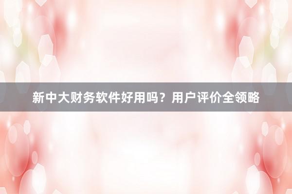 新中大财务软件好用吗？用户评价全领略